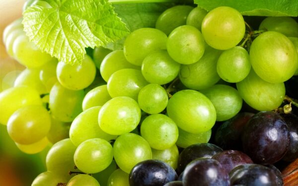 Fresh Green Grapes