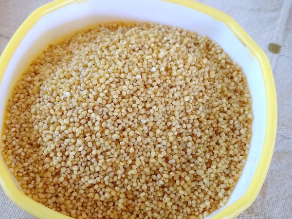Navane -Foxtail Millet